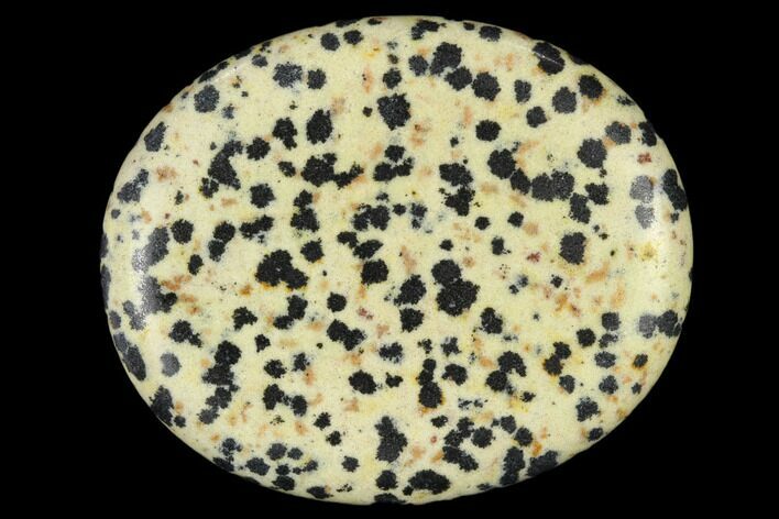 1.9" Polished Dalmatian Jasper Worry Stones  - Photo 1